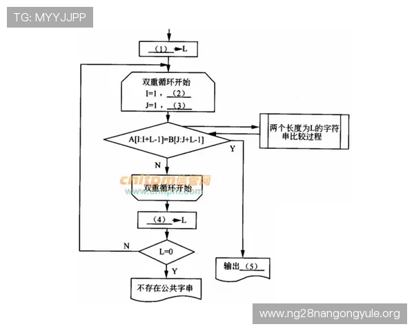 南宫官方入口全面解析,提供最详细的登录流程与常见问题解决方案