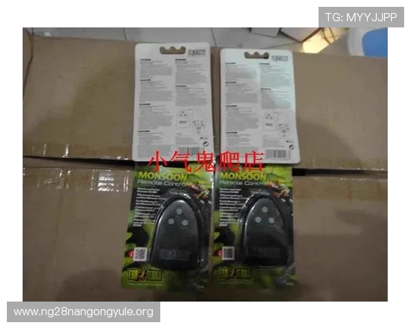 PT电子官网最新安全登录指南帮助玩家轻松进入游戏体验优质娱乐内容